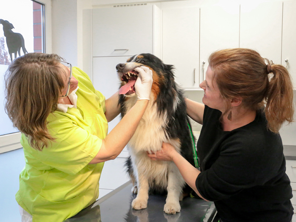 Tierärztin und Besitzerin mit Hund im Behandlungsraum
